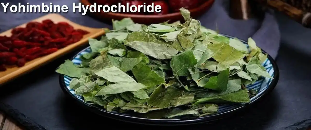 Yohimbine Hydrochloride.jpg
